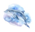 Blue dolphin with abstract blue background isolated on white background. Watercolor Royalty Free Stock Photo
