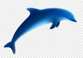 Blue dolphin jumps. Vector illustration. Jumping dolphin play Royalty Free Stock Photo