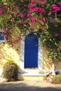 Blue door Royalty Free Stock Photo