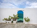 Blue door with cactus and the white wall Royalty Free Stock Photo