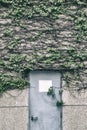 Blue door with green vines village entrance beautiful, wall trave Royalty Free Stock Photo