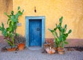Blue door weathered stucco potted cactus plants