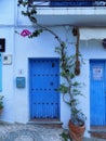 Frigiliana-blue doors