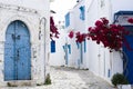 Blue doors, window and white wall of building in Sidi Bou Said