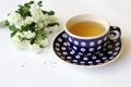 Blue dotted ceramic saucer and cup with tea on white background with white little flowers.