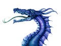 Blue Dragon