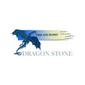 Blue dragon. DRAGON STONE.