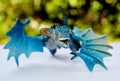 blue dragon flying