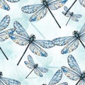 Blue Dragonflies Pattern on White Background Royalty Free Stock Photo