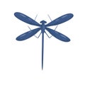 Blue dragonfly with long body and two pairs of big wings. Beautiful flying insect. Flat vector design Royalty Free Stock Photo