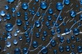 Blue drops of water flow down on black surface. Royalty Free Stock Photo