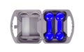 Blue dumbbells in a grey case