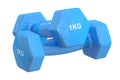 Blue Dumbbells 1 kg, 3D rendering