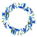 Blue durandii clematis. Floral botanical flower. Frame border ornament square.