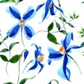 Blue durandii clematis. Floral botanical flower. Seamless background pattern. Fabric wallpaper print texture.