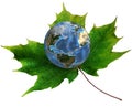 Blue Earth on green maple leaf