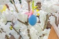 Blue easter egg hang on blooming apple tree branch. Easter decoration and celebration concept Royalty Free Stock Photo