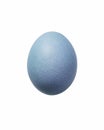 blue easter egg isolated on white background Royalty Free Stock Photo