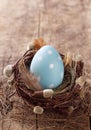 Blue easter egg in nest Royalty Free Stock Photo