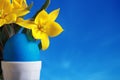 Blue easter egg and yellow tulips Royalty Free Stock Photo