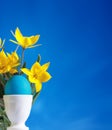 Blue easter egg and yellow tulips Royalty Free Stock Photo