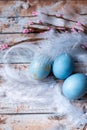 Blue easter eggs with feathers on wooden background. Minimal easter concept. Easter card with copy space for text Royalty Free Stock Photo