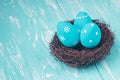 Blue Easter eggs in nest Royalty Free Stock Photo