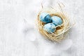 Blue Easter Eggs in a Nest Royalty Free Stock Photo