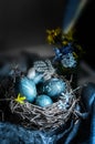 Blue Easter eggs in the nest. Eggs colored with karkade tea and plant leaves. Easter still life in a dark key. Soft focus