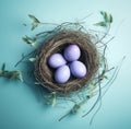 blue blue easter eggs nest on flat, Royalty Free Stock Photo