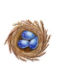 Blue easter eggs in a nest. Royalty Free Stock Photo