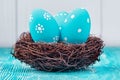 Blue Easter eggs in nest Royalty Free Stock Photo