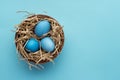 Blue easter eggs in round wooden plate Royalty Free Stock Photo