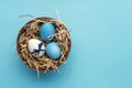 Blue easter eggs in round wooden plate Royalty Free Stock Photo