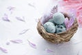 Blue Easter eggs in the small nest with feathers and flower petals on a light background. Painted quail eggs. Copy space Royalty Free Stock Photo