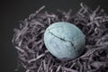 Blue egg with crack, painted in tea hibiscus, lies on paper similar to a nest of hay on a black background closeup Royalty Free Stock Photo