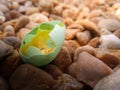 Blue egg of a small bird in the morning Royalty Free Stock Photo