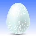 Blue egg with spots