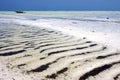 In the blue elax of zanzibar coastline pirague