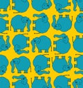 Blue elephant cartoon pattern seamless. animal background Royalty Free Stock Photo