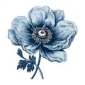 Detailed Engraved Blue Poppy Illustration With Eerie Symbolism