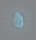 Human heart with starburst shine illustration Royalty Free Stock Photo