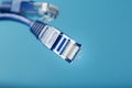 Two Ethernet Cable Connectors Patch cord cord close-up isolated on a blue background with free space Royalty Free Stock Photo