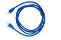 Blue ethernet copper, RJ45 patchcord Royalty Free Stock Photo