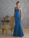 Blue Evening Gown