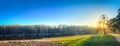 The blue evening sky, the setting sun, illuminates the yellowing grass through the branches of a tree