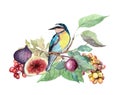 Blue exotic bird with summer fruits on branch with leaves. Watercolor drawing, summer card beautiful illustration