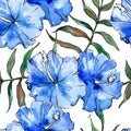 Blue exotic tropical hawaiian floral flower. Watercolor illustration set. Seamless background pattern. Royalty Free Stock Photo