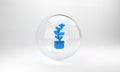 Blue Exotic tropical plant in pot icon isolated on grey background. Glass circle button. 3D render illustration Royalty Free Stock Photo