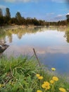 The blue expanse of water of a small forest lake, reflecting the sky and trees.